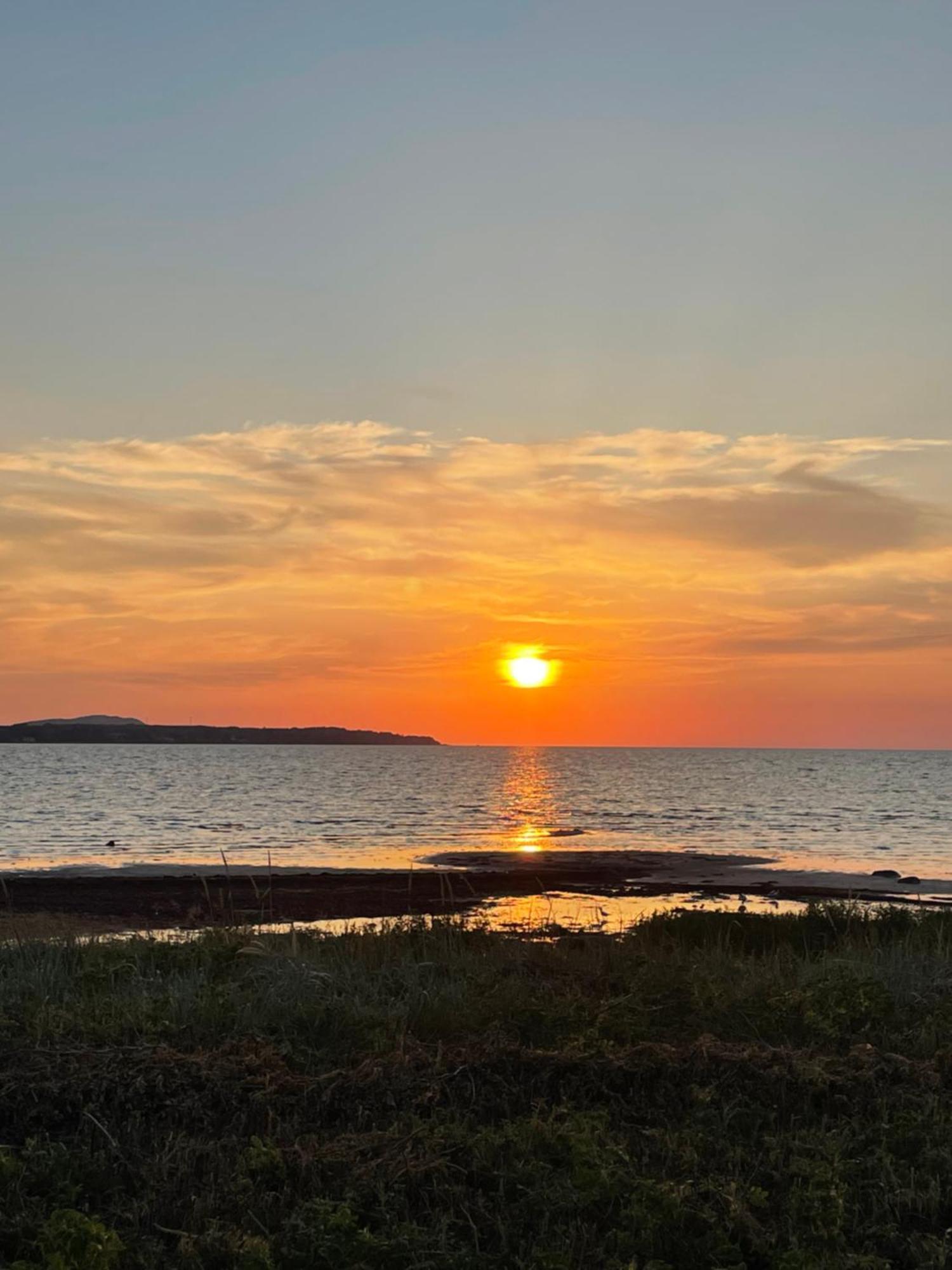 Nice Child-Friendly House 200M From Beautiful Beach, Farhult Kültér fotó